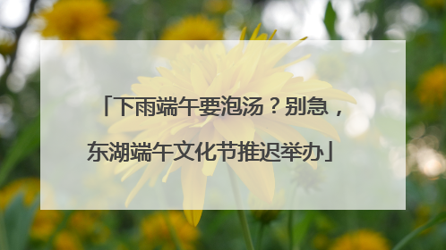 下雨端午要泡汤？别急，东湖端午文化节推迟举办