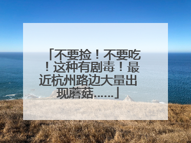 不要捡！不要吃！这种有剧毒！最近杭州路边大量出现蘑菇……