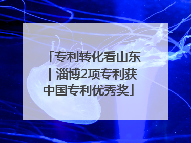 专利转化看山东｜淄博2项专利获中国专利优秀奖