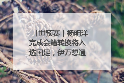 世预赛｜杨明洋完成会籍转换将入选国足，伊万想通了要打双后腰？