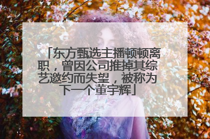 东方甄选主播顿顿离职，曾因公司推掉其综艺邀约而失望，被称为下一个董宇辉