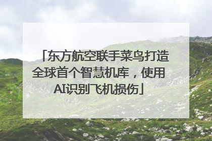 东方航空联手菜鸟打造全球首个智慧机库，使用AI识别飞机损伤