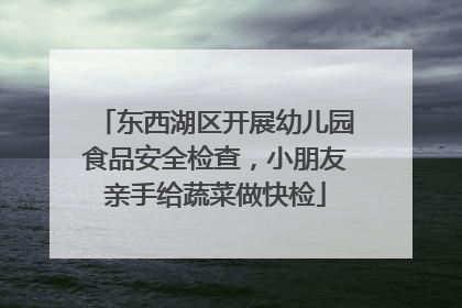 东西湖区开展幼儿园食品安全检查，小朋友亲手给蔬菜做快检