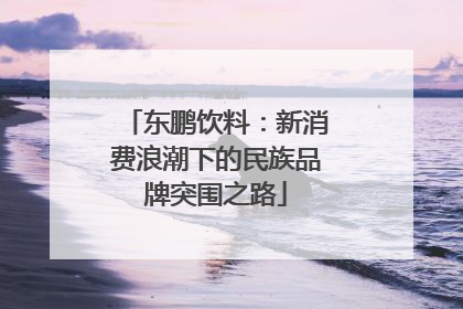 东鹏饮料：新消费浪潮下的民族品牌突围之路