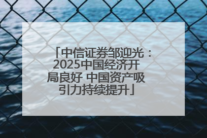 中信证券邹迎光：2025中国经济开局良好 中国资产吸引力持续提升