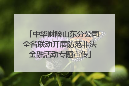 中华财险山东分公司全省联动开展防范非法金融活动专题宣传