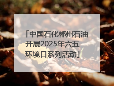 中国石化郴州石油开展2025年六五环境日系列活动