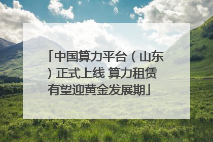 中国算力平台（山东）正式上线 算力租赁有望迎黄金发展期