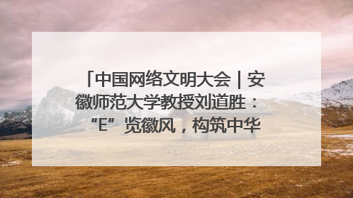中国网络文明大会｜安徽师范大学教授刘道胜：“E”览徽风，构筑中华民族共有精神家园