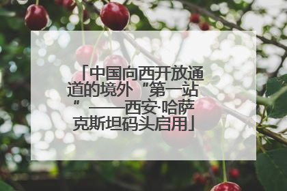 中国向西开放通道的境外“第一站”——西安·哈萨克斯坦码头启用