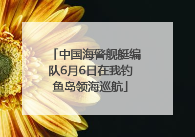 中国海警舰艇编队6月6日在我钓鱼岛领海巡航
