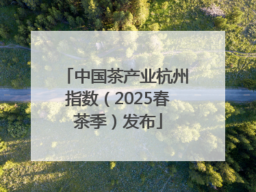 中国茶产业杭州指数（2025春茶季）发布