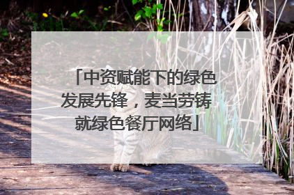 中资赋能下的绿色发展先锋，麦当劳铸就绿色餐厅网络