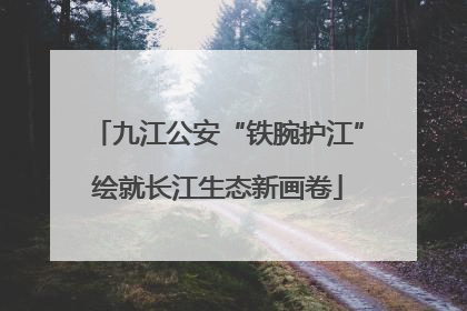 九江公安“铁腕护江”绘就长江生态新画卷
