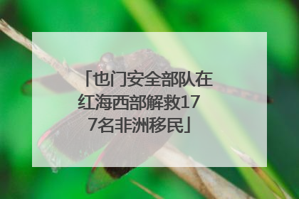 也门安全部队在红海西部解救177名非洲移民