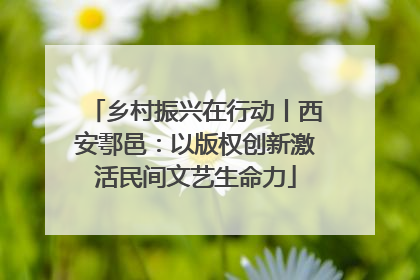 乡村振兴在行动丨西安鄠邑：以版权创新激活民间文艺生命力