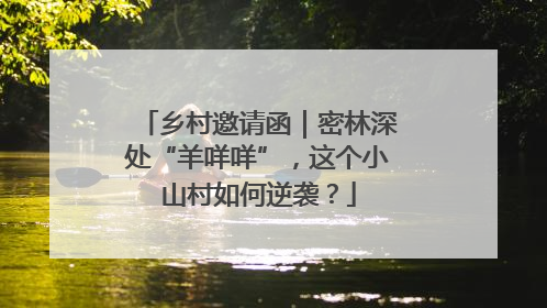 乡村邀请函｜密林深处“羊咩咩”，这个小山村如何逆袭？