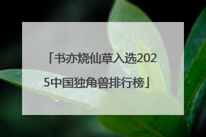 书亦烧仙草入选2025中国独角兽排行榜