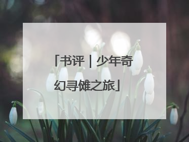 书评｜少年奇幻寻傩之旅