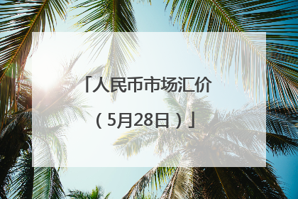 人民币市场汇价（5月28日）