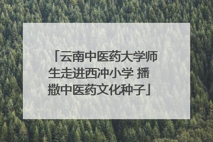 云南中医药大学师生走进西冲小学 播撒中医药文化种子