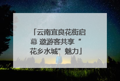 云南宜良花街启幕 邀游客共享“花乡水城”魅力