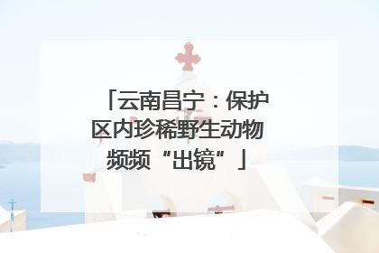 云南昌宁：保护区内珍稀野生动物频频“出镜”