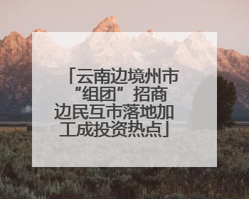 云南边境州市“组团”招商 边民互市落地加工成投资热点