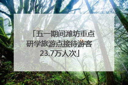 五一期间潍坊重点研学旅游点接待游客23.7万人次