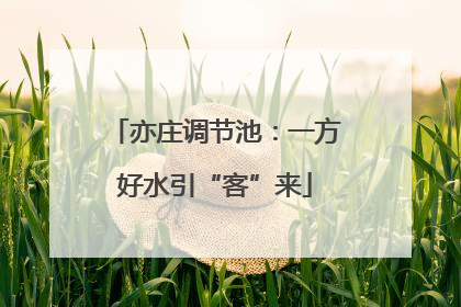 亦庄调节池：一方好水引“客”来
