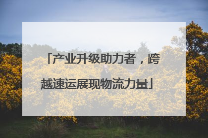 产业升级助力者，跨越速运展现物流力量