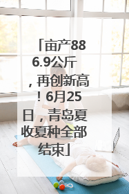 亩产886.9公斤，再创新高！6月25日，青岛夏收夏种全部结束