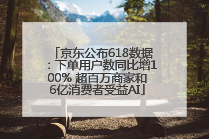 京东公布618数据：下单用户数同比增100% 超百万商家和6亿消费者受益AI