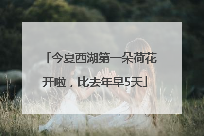 今夏西湖第一朵荷花开啦，比去年早5天