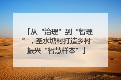 从“治理”到“智理”，圣水塘村打造乡村振兴“智慧样本”