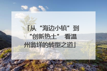 从“海边小镇”到“创新热土” 看温州翁垟的转型之道