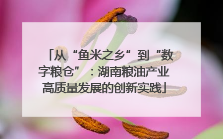 从“鱼米之乡”到“数字粮仓”：湖南粮油产业高质量发展的创新实践