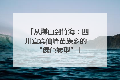 从煤山到竹海：四川宜宾仙峰苗族乡的“绿色转型”