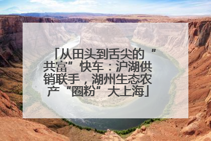从田头到舌尖的“共富”快车：沪湖供销联手，湖州生态农产“圈粉”大上海