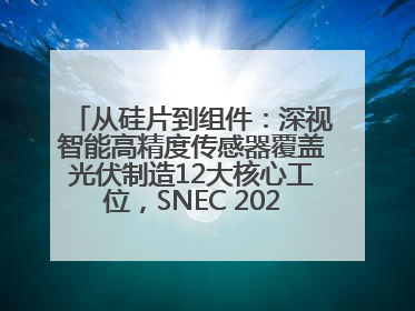 从硅片到组件：深视智能高精度传感器覆盖光伏制造12大核心工位，SNEC 2025诚邀见证