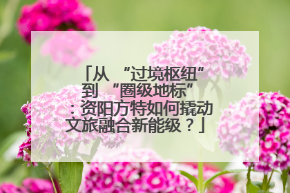 从 “过境枢纽” 到 “圈级地标”：资阳方特如何撬动文旅融合新能级？