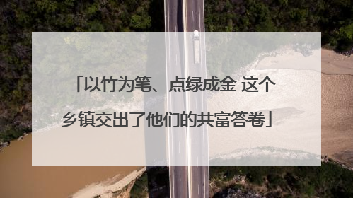 以竹为笔、点绿成金 这个乡镇交出了他们的共富答卷
