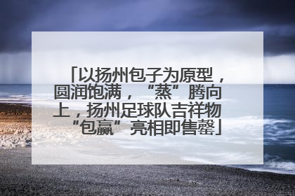 以扬州包子为原型，圆润饱满，“蒸”腾向上，扬州足球队吉祥物“包赢”亮相即售罄