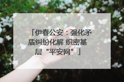 伊春公安：强化矛盾纠纷化解 织密基层“平安网”