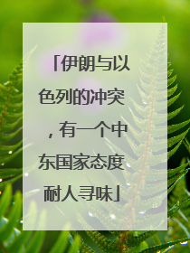 伊朗与以色列的冲突，有一个中东国家态度耐人寻味