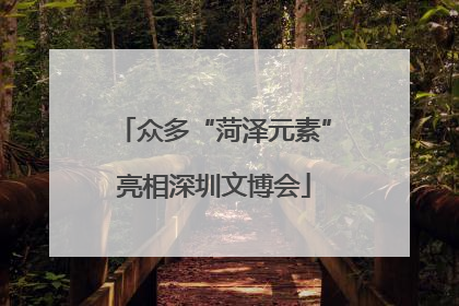 众多“菏泽元素”亮相深圳文博会
