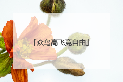 众鸟高飞竞自由