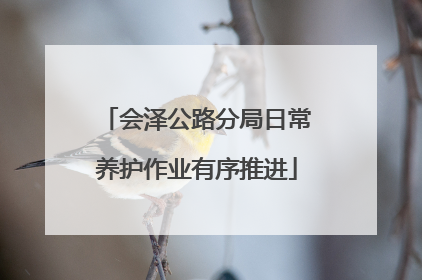 会泽公路分局日常养护作业有序推进