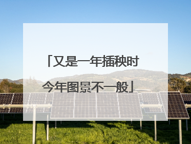 又是一年插秧时 今年图景不一般