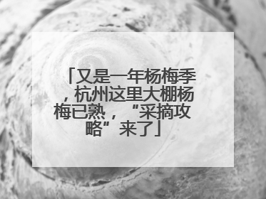 又是一年杨梅季，杭州这里大棚杨梅已熟，“采摘攻略”来了
